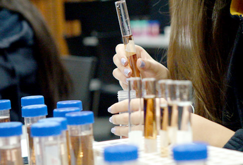 img_chem1