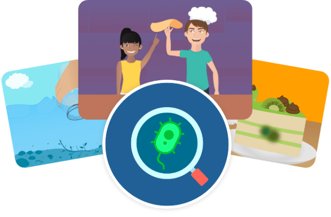Microorganismos